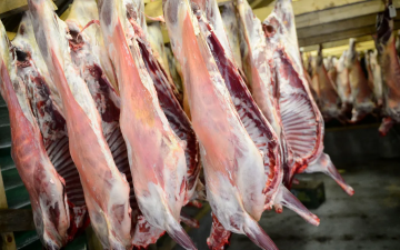 الصورة: الصورة: الجزائر تسمح باستيراد لحوم الدجاج والأبقار لمواجهة غلاء الأسعار