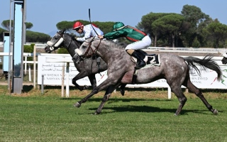 الصورة: الصورة: "ماكاميرا" و"ديتركسنتا" يتوجان بكأسي "زايد" و"فاطمة بنت مبارك" للخيول العربية في إيطاليا