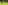 الصورة: الصورة: «شيس بيس» لجودلفين يطارد لقب «سانت ليجر»