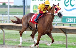 الصورة: الصورة: 8 خيول تتنافس على كأس الوثبة بتكساس