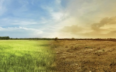 الصورة: الصورة: «تغير المناخ» والكوارث الطبيعية.. سيناريوهات مرعبة تهدد العالم