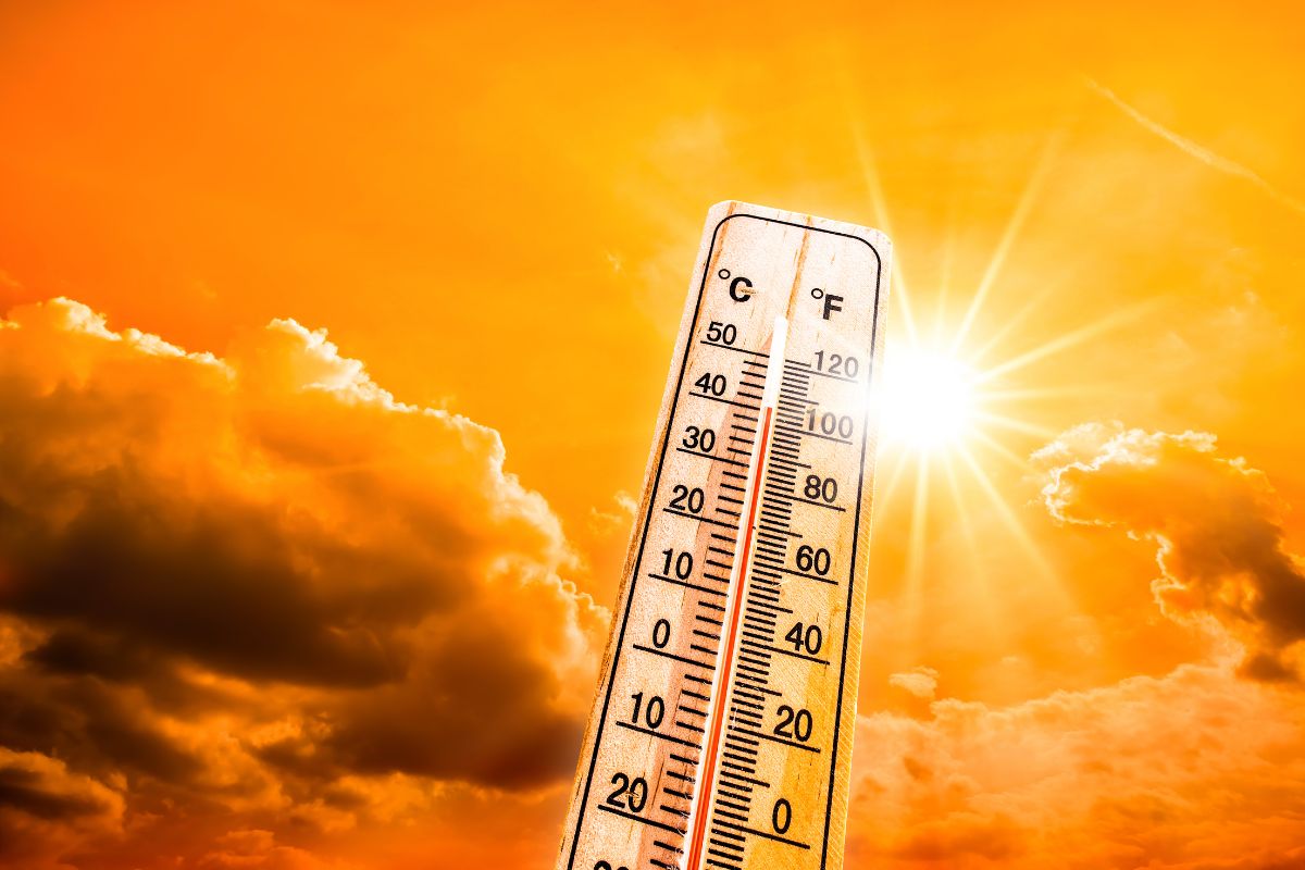دراسة: درجات الحرارة خلال العام الماضي الأعلى منذ 125 ألف عام