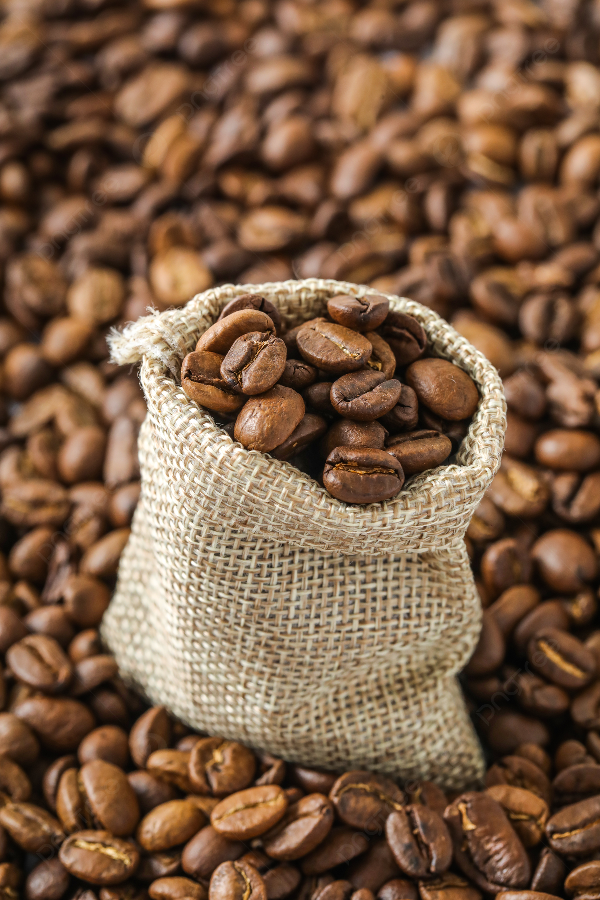 ارتفاع صادرات القهوة لأكبر مُصدر في أفريقيا خلال أكتوبر