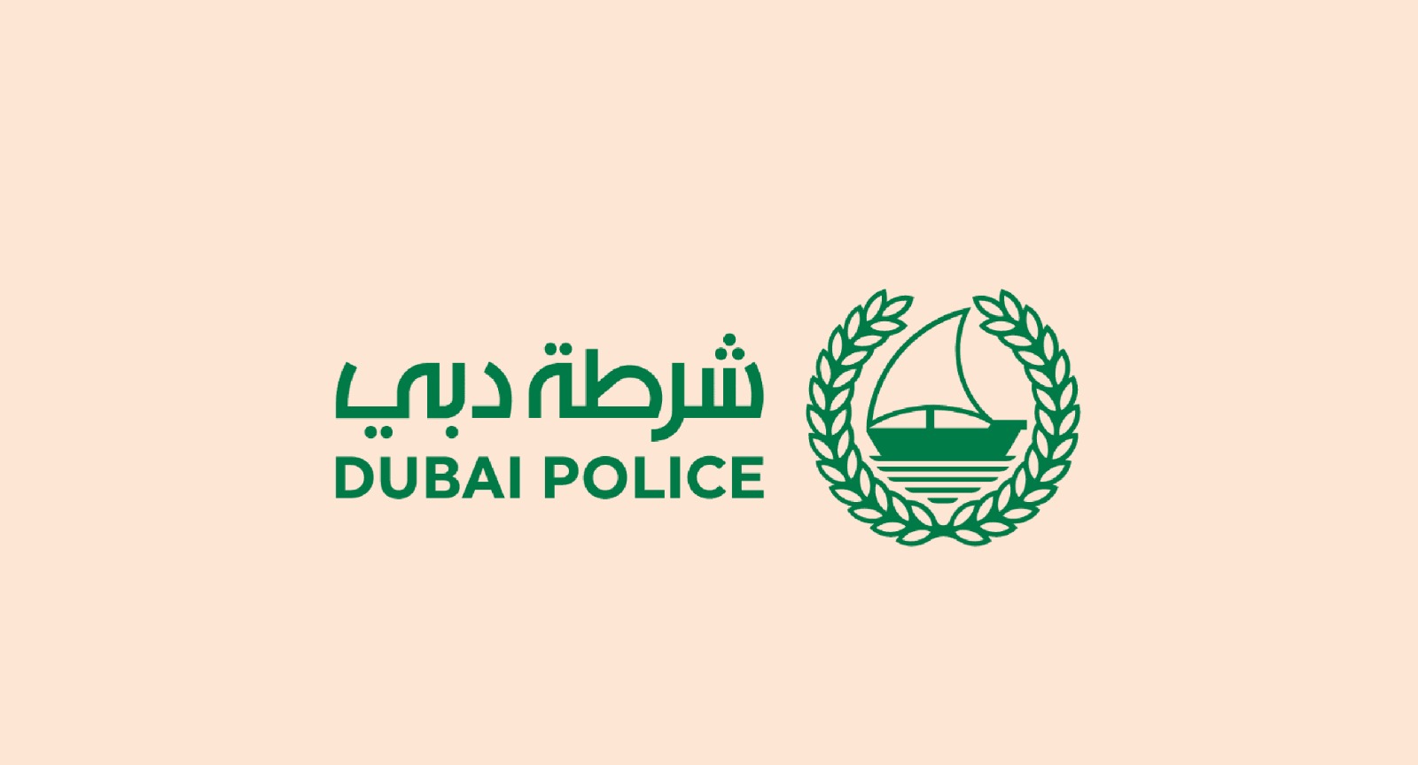 جاهزية تامة.. شرطة دبي تؤكد أهمية الحذر وتجنب مجاري المياه في التقلبات الجوية