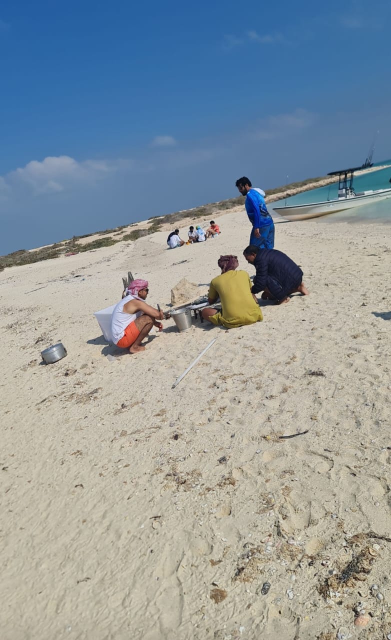 مبادرة شبابية لتنظيف شاطئ جزيرة 