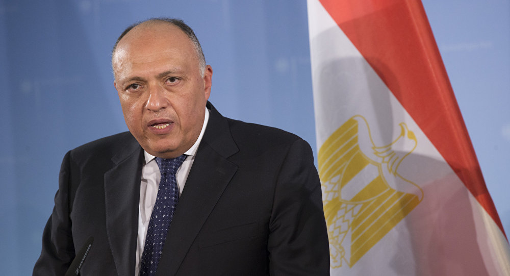وزير الخارجية المصري يؤكد ضرورة وقف شامل ودائم لإطلاق النار في غزة