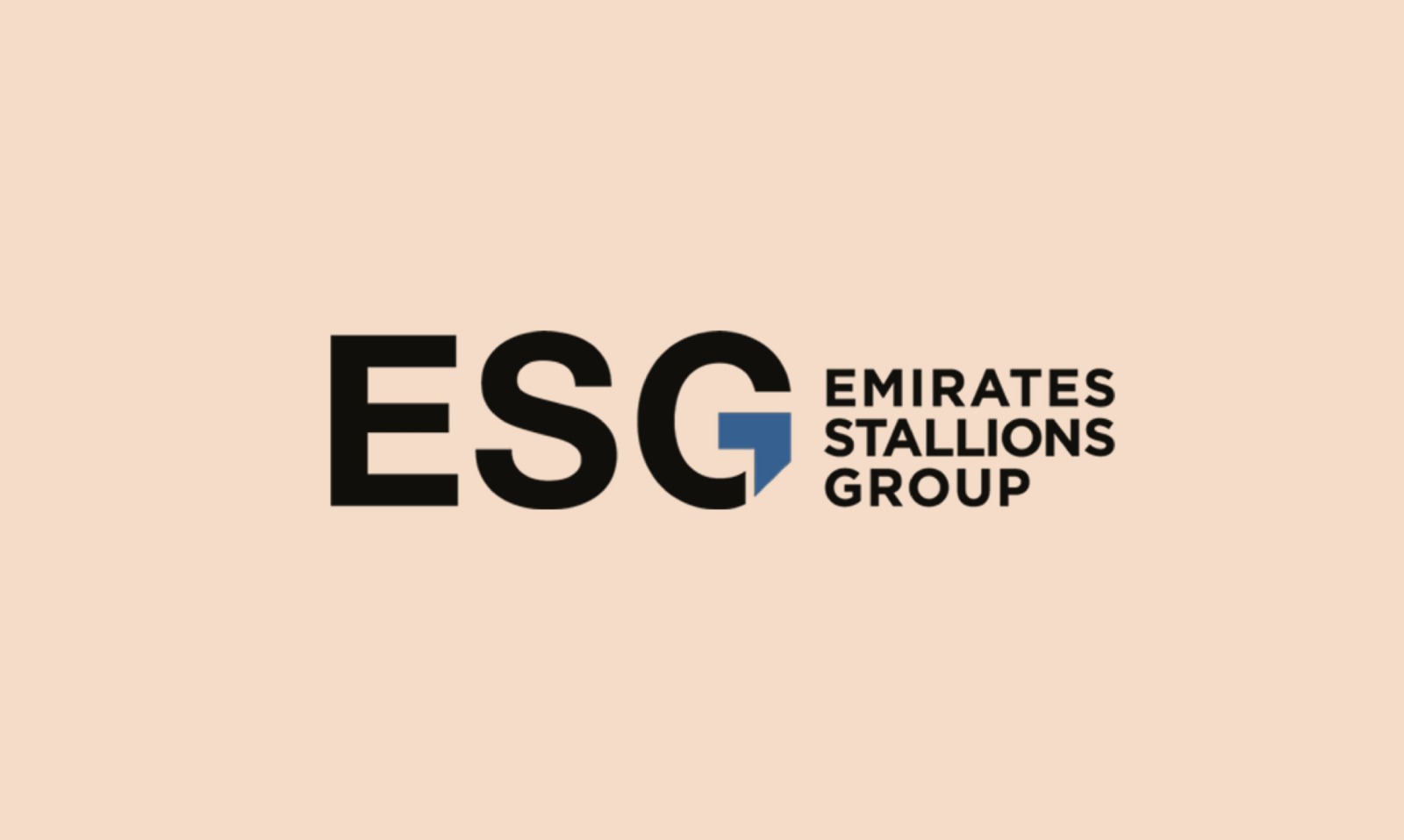 «إي إس جي ستاليونز الإمارات» تستحوذ على 60% من أسهم «أفكار للاستثمارات المالية والعقارية»
