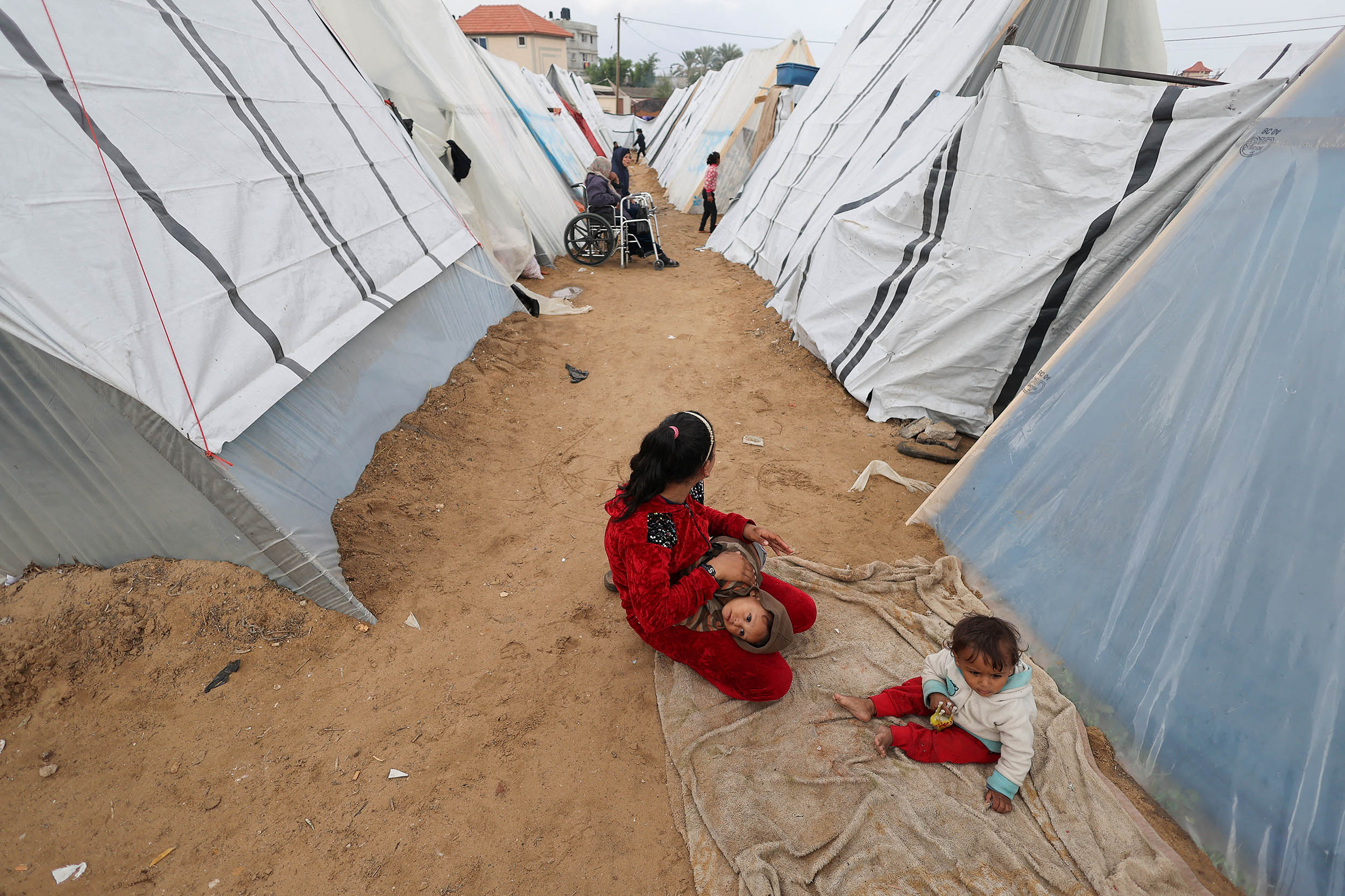 نازحون من غزة يبحثون عن أخشاب تقيهم برد الشتاء في مخيمات رفح