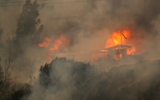 تشيلي .. ارتفاع حصيلة قتلى حرائق الغابات إلى 99 شخصاً وفقدان المئات