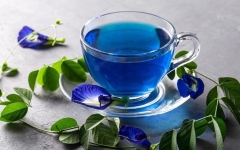 الصورة: الصورة: 5 فوائد صحية مذهلة لشرب الشاي الأزرق بانتظام