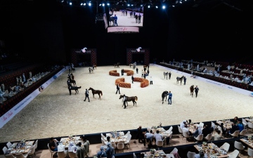 الصورة: الصورة: خيول الإمارات تتألق في «بطولة أبوظبي الدولية»