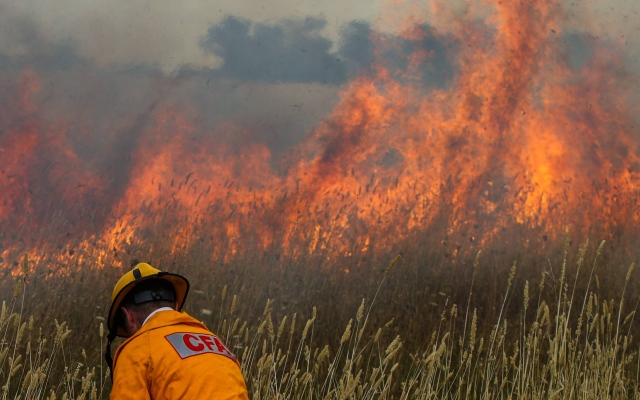 الصورة: الصورة: أستراليا تحث مئات الأشخاص على إخلاء مناطقهم بعد خروج حريق عن السيطرة