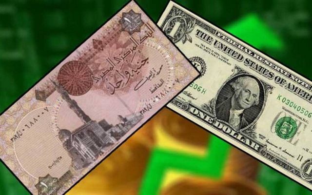 الصورة: الصورة: الدولار يهوي مقابل الجنيه المصري في السوق السوداء