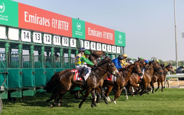 الصورة: الصورة: كرنفال سباقات دبي للخيول.. 9 أشواط جوائزها 10 ملايين درهم في أمسية "سوبر ساترداي"