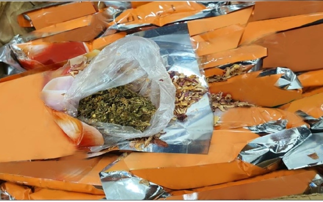 الصورة: الصورة: «جمارك دبي» تحبط تهريب 26.45 كيلوغراماً من «الماريجوانا»