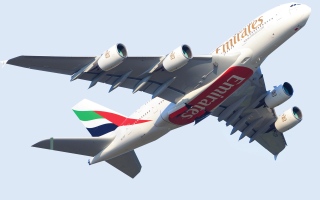 الصورة: الصورة: طيران الإمارات تحتفل بـ«هولي» و«ساكورا»