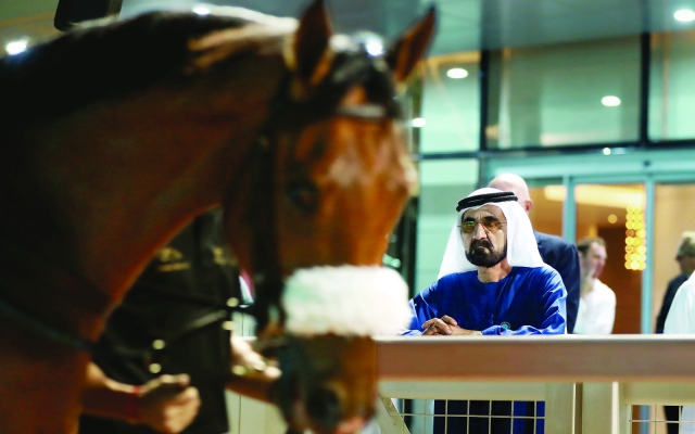 الصورة: الصورة: محمد بن راشد يرحب بضيوف كأس دبي العالمي