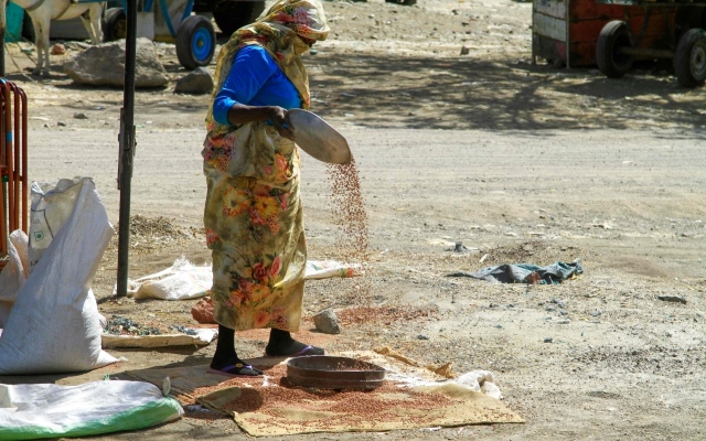 الصورة: الصورة: ثالوث الجوع والعطش والمرض يهدد حياة السودانيين