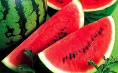 الصورة: الصورة: فوائد مذهلة لبذور البطيخ