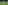 الصورة: الصورة: مرسيليا يقصي بنفيكا بركلات الترجيح ويتأهل لنصف نهائي الدوري الأوروبي