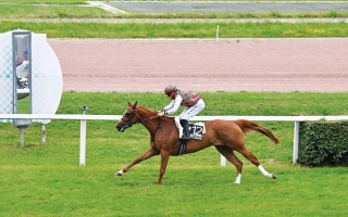 الصورة: الصورة: 7 خيول تتنافس على لقب مهرجان منصور بن زايد بفرنسا اليوم
