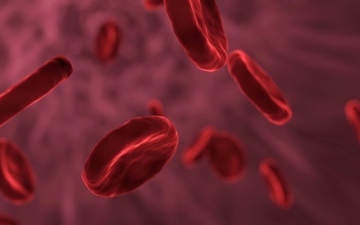 الصورة: الصورة: إنزيمات تحوّل فصائل الدم إلى الفصيلة الأولى