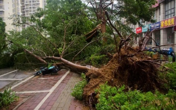الصورة: الصورة: مقتل وإصابة 38 شخصا إثر إعصار قوي في الصين