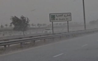 هطول أمطار الخير على دبي (فيديو)