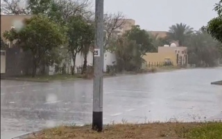 هطول أمطار الخير على الإمارات (فيديو)