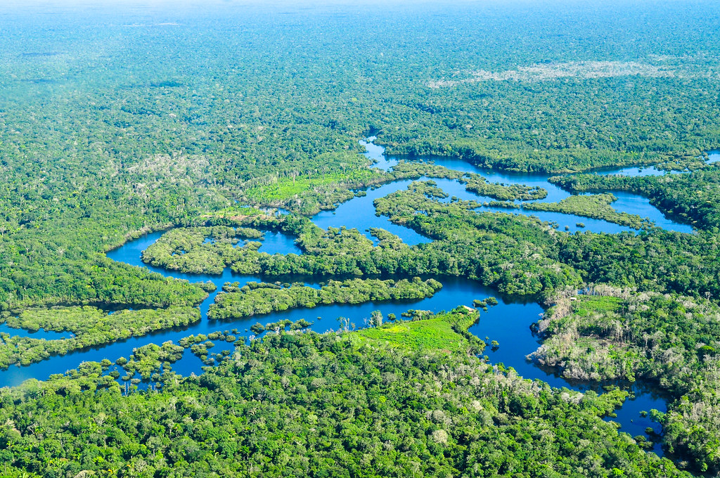اليابان والبرازيل تتفقان على حماية غابات الأمازون المطيرة