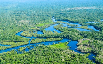 الصورة: الصورة: اليابان والبرازيل تتفقان على حماية غابات الأمازون المطيرة