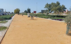 الصورة: الصورة: تجربة لتثبيت التربة بمواد صديقة للبيئة في أبوظبي