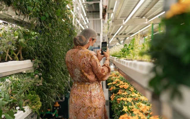 الصورة: الصورة: مزرعة جرينيريشن العمودية في دبي تنتج أصنافاً نادرة من الخضروات والزهور الصالحة للأكل