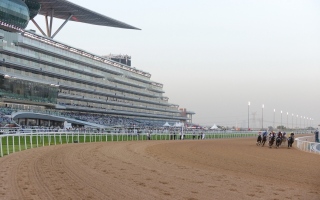 الصورة: الصورة: «دبي لسباق الخيل» يؤكد مضاعفة الجهود لتحقيق رؤية محمد بن راشد في السباقات